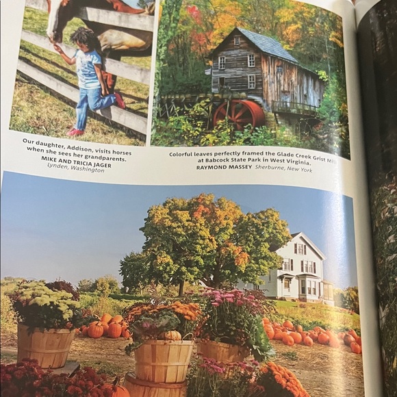 #0969**Sunflower Themed Home Accent Book - Picture 12 of 14